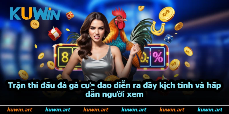 Trận thi đấu đá gà cựa dao diễn ra đầy kịch tính và hấp dẫn người xem Trận thi đấu đá gà cựa dao diễn ra đầy kịch tính và hấp dẫn người xem